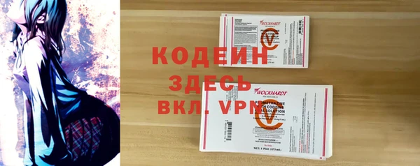крисы Абаза