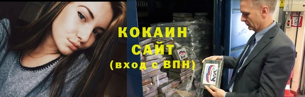 крисы Абаза
