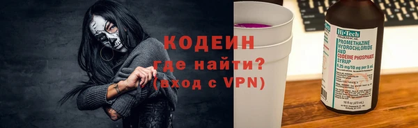 крисы Абаза