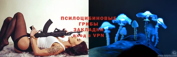 крисы Абаза